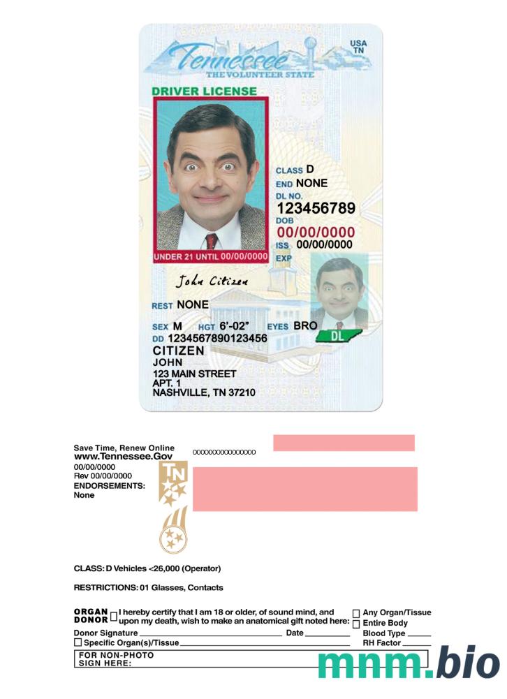 Prawo jazdy USA Tennessee poniżej 21 lat w formacie PSD